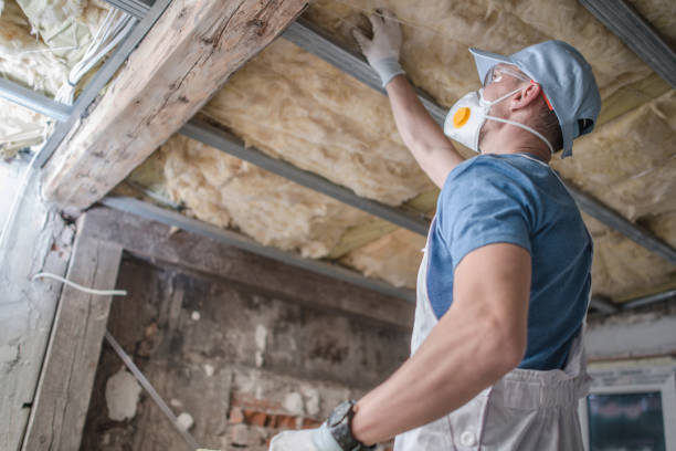 Best Residential Insulation in Hudson, FL